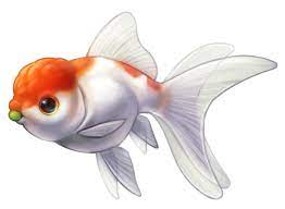 I Love Peas By Kawiko Deviantart Com Goldfish Art Fish Art Goldfish