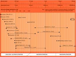 Zenon Membrane Pore Size