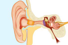This procedure should be repeated once or twice daily while your symptoms clear. Tinnitus Treatment Symptoms Remedies More