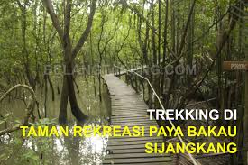 Hutan paya bakau di indonesia amat dikehendaki sebagai kawasan perlindungan termasuklah dengan menggunakan skim ekosistem yang penting, jelas beliau mengenai hutan paya bakau di negara jiran. Pengalaman Aktiviti Trekking Di Taman Rekreasi Paya Bakau Sijangkang Some Bullet For Your Head