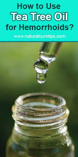How To Use Tea Tree Oil For Hemorrhoids Tea Tree Oil Uses Tea Tree Oil Essential Oils For Hemmoroids
