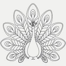 341 x 576 jpeg 44 кб. The Abstract Vector Black Peacock Eps 8 Vector Colourbox Peacock Art Embroidery Patterns Vintage Peacock Drawing