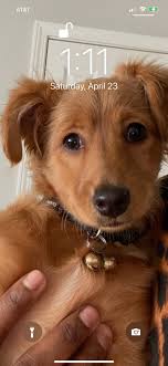 Today marks Cheryl Scherer's 65th birthday. Cheryl was last seen working a  shift at the Rhodes Pump-Ur-Own gas station