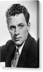 Beedle Canvas Prints & Wall Art for Sale