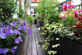 Suivez nos bons conseils pour en faire de véritables espaces verts. Jardin Balcon Reussi Idees D Amenagement Et Astuces Deco