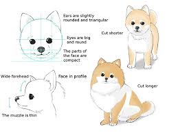 Animal sketches animal drawings cute drawings art sketches dog drawings pencil drawings cartoon wolf furry drawing anime wolf more information. How To Draw Different Types Of Dogs Medibang Paint