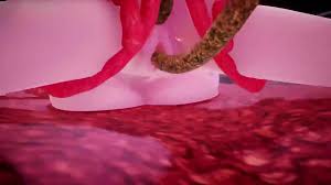 Queen of lewd insect sex mmd 蟲姦注意 俺の3Dエロ動画 | Hot Sex Picture