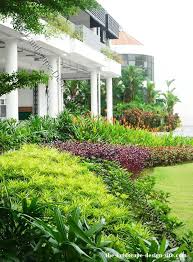 Mass Planted Tropical Landscaping Backyard Landscaping Designs Tropical Landscaping Landscape Design