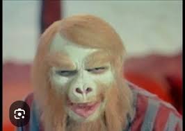 Planet of the apes theatre makeup in Montreal