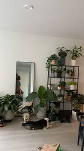 7540 s sepulveda blvd, los angeles, ca 90045. Dream Garden 174 Photos 132 Reviews Nurseries Gardening 6751 W Sunset Blvd Los Angeles Ca Phone Number Yelp