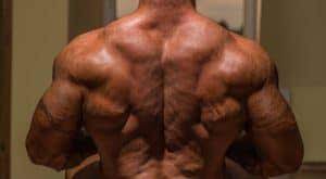 Improve Your Cycle By Knowing The Dbol Half Life Fitnessology