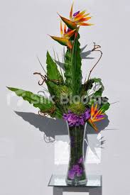 Artificial Bird Of Paradise Flower Arrangement Uk Pin On Floral Arrangements For Home Or Office