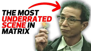 Phormingochilus arboricola