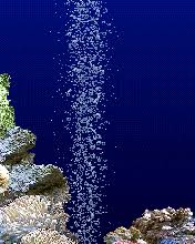 We have 59+ amazing background pictures carefully picked by our community. Moving Gif Wallpaper Fish Wallpaper Galaxy
