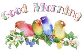 Bird Is The Word Gif With Sound Https Encrypted Tbn0 Gstatic Com Images Q Tbn 3aand9gcreqkdta6r Dsga3wrw6fbeefmod5l6qtgvva Usqp Cau