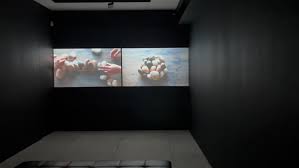 Bildergebnis für Maria Laet