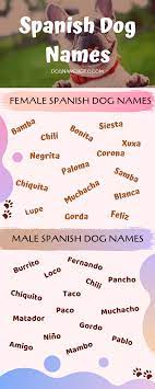 Cool Dog Names In Spanish Di 2021