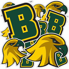 Desert Cactus Brockport Sticker SUNY Golden Eagles Vinyl Decals Laptop  Water Bottle Car Scrapbook T1 (Type 1-1)