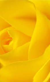 Pin En Yellow