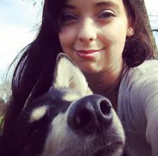 Are huskies typically velcro dogs or independent?