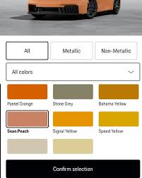 Image result for Sean Peach 2025 Porsche