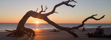 These Remote Beaches Will Make You Feel Like You Re On Your Own Private Island In 2020 Best Beaches To Visit Driftwood Beach Jekyll Island Beautiful Beaches