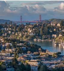 Image result for Wild Rose 1999 Tiburon
