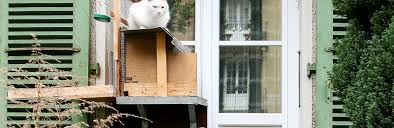 The best gifs are on giphy. Swisscommunity The Discreet Catwalk For Swiss Kitties