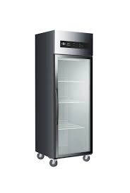 Peti sejuk berkapasiti 480l ini amat sesuai untuk keluarga yang sederhana. Fresh 1 Door Freezer Peti Sejuk Beku Berdiri 450l 620mm Csug5a1 Peralatan Dapur Komersial Terbesar