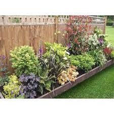 Українська (uk) français (fr) português (pt) español (es) deutsch (de) italiano (it) беларуская (be) log in. Shady Border Collection 3m X 60cm Garden Border Plants Garden Shrubs Garden Borders