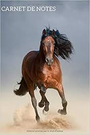 Carnet De Notes Mon Amour De Cheval Magnifique Carnet De Notes A Offrir Pour Les Amoureux Des Chevaux 110 Pages Au Total Format Pratique French Edition Editions Chevalious 9798671904307 Amazon Com Books Poème cheval et cheval et amour. magnifique carnet de notes a offrir