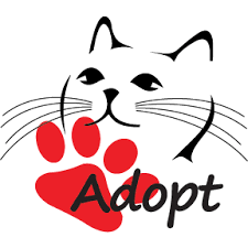 Select your state and view some local shelters and rescues. Adopt Me Cat Rescue Adoptmecat Twitter