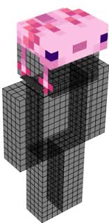 Minecraft mob skins / axolotls. Axolotl Nova Skin