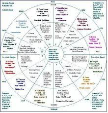 Learn The Houses Astrology Wheel Astrology Astrology