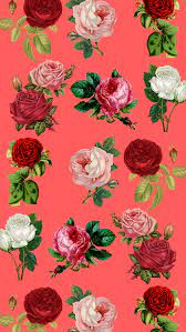 Rose gold pretty roses wallpaper. 7 Pretty Floral Iphone 8 8 Plus Hd Wallpapers Preppy Wallpapers Red Roses Wallpaper Rose Gold Wallpaper Iphone Flower Wallpaper