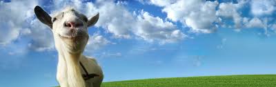 It was released for microsoft windows in april 2014. Goat Simulator