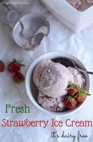 dairy free ice cream recipe fresh