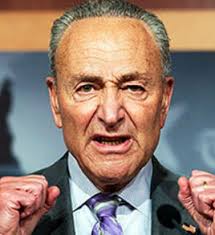 Senator from new york, since january 3, 1999 chuck is the son of selma (rosen) and abraham j. 2021