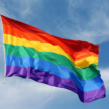 The flags listed below and the history behind them were compiled through research done by the gsrc staff. Gtp Rainbow Flag 3 X5 Ft Polyester Flag Gay Pride Lesbian Peace Lgbt Flag W Brass Grommets Walmart Com Walmart Com