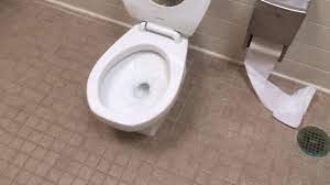 2 American Standard Baby Devoro Toilets Youtube
