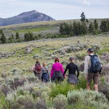 Luzenac america yellowstone mine 68 km. Photo Galleries Yellowstone National Park U S National Park Service