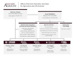 Organizational Chart