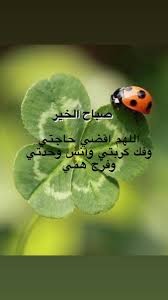 اللهم اقض حاجتي وفك كربتي وانس وحدتي وفر ج همي