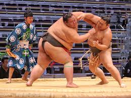 Check spelling or type a new query. Sumo Fact Or Fiction Quiz Britannica