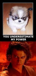 Find funny gifs, cute gifs, reaction gifs and more. You Underestimate My Power