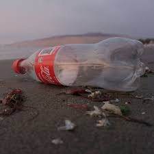 Is Coke Vegan What You Need To Know About Soda