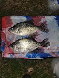 Eric Maddox (@maddog198837) • Instagram photos and videos