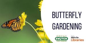 Switch Your Thinking: Butterfly Gardening