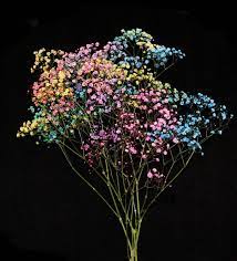 Pin On Flower Farm Florsani