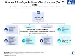 danone sa organizational chart structure dec 31 2018